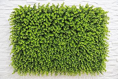 动视暴雪PC收入已超过主机收入 PC玩家越来越给力